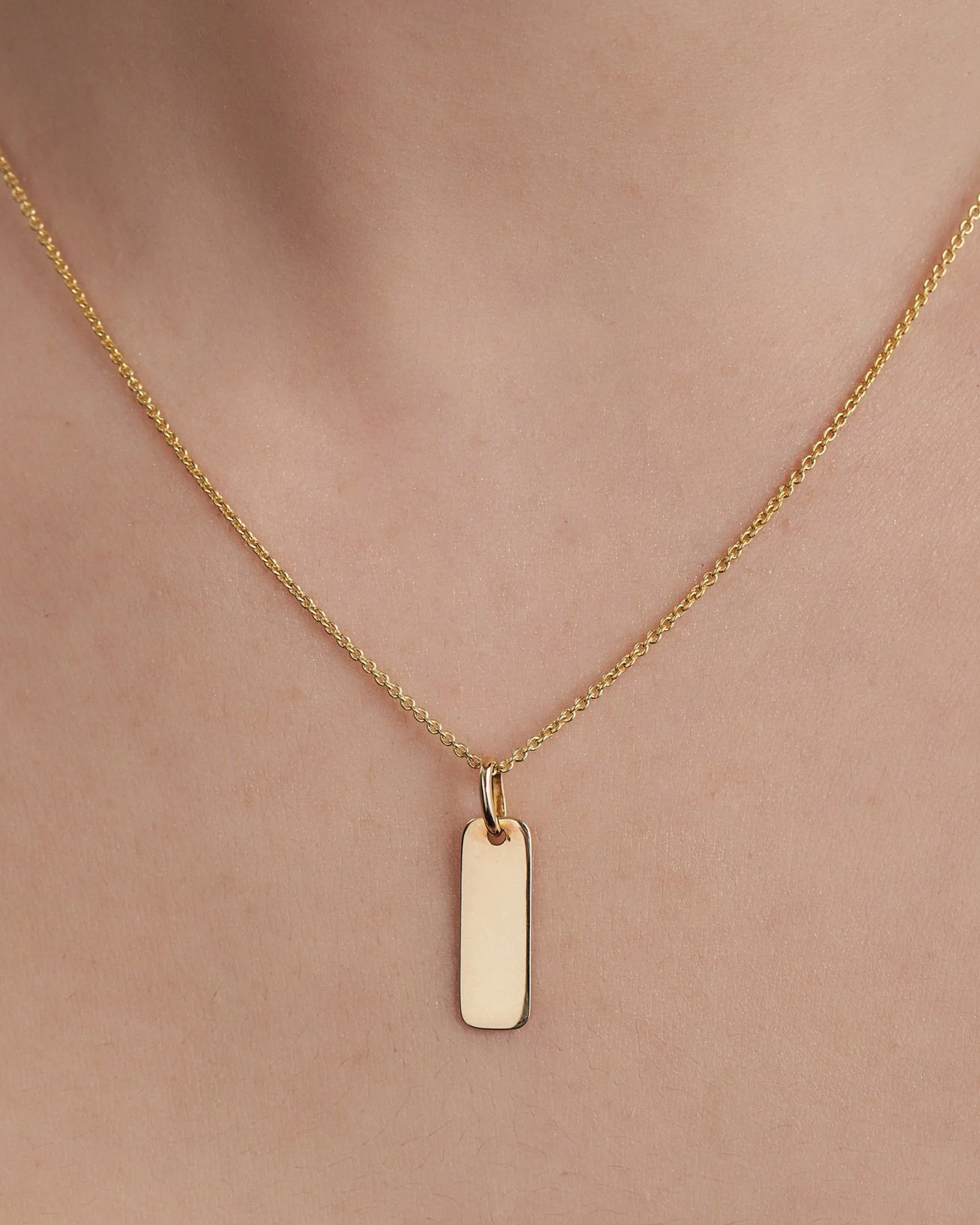 Mini Plate Pendant