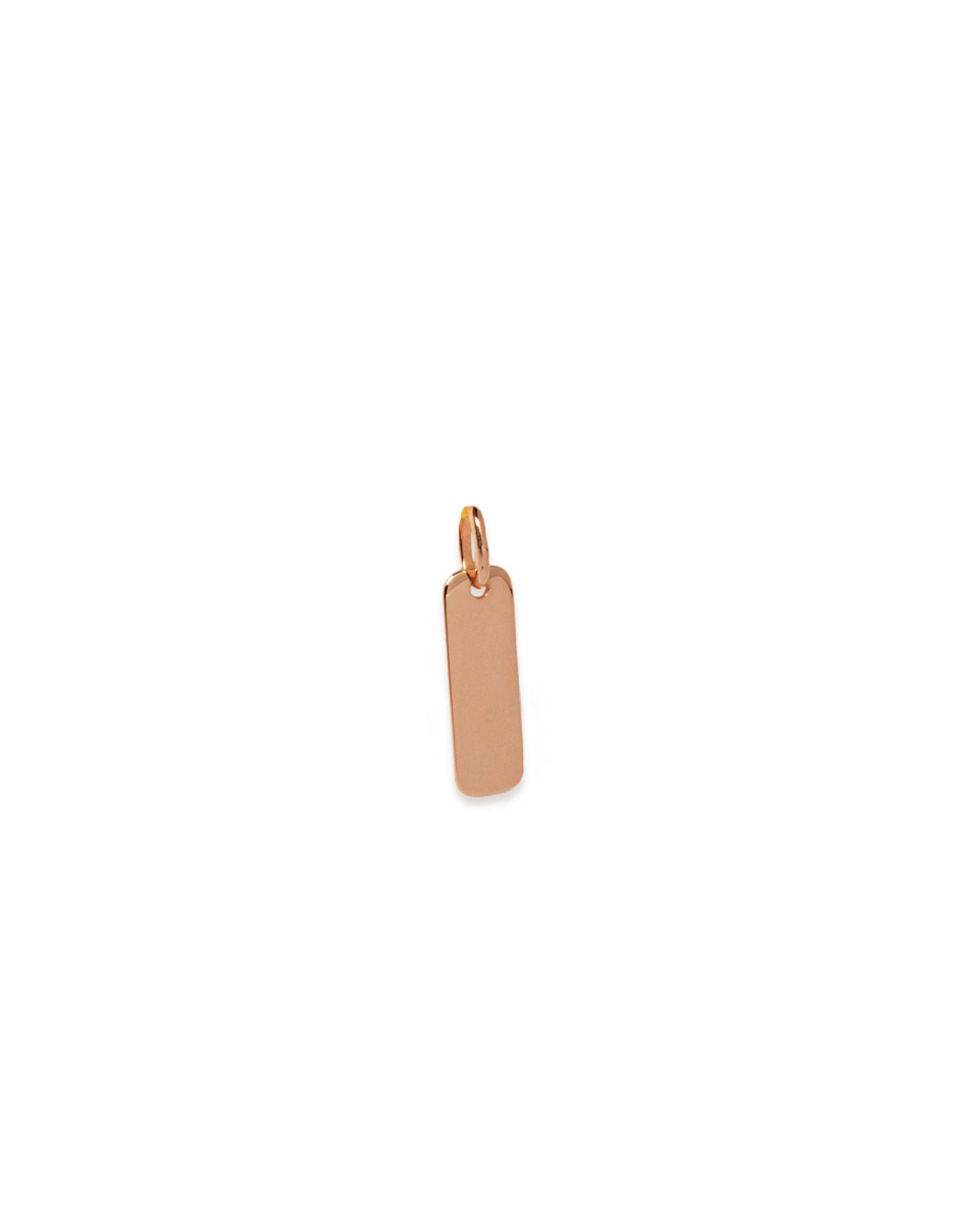 Mini Plate Pendant