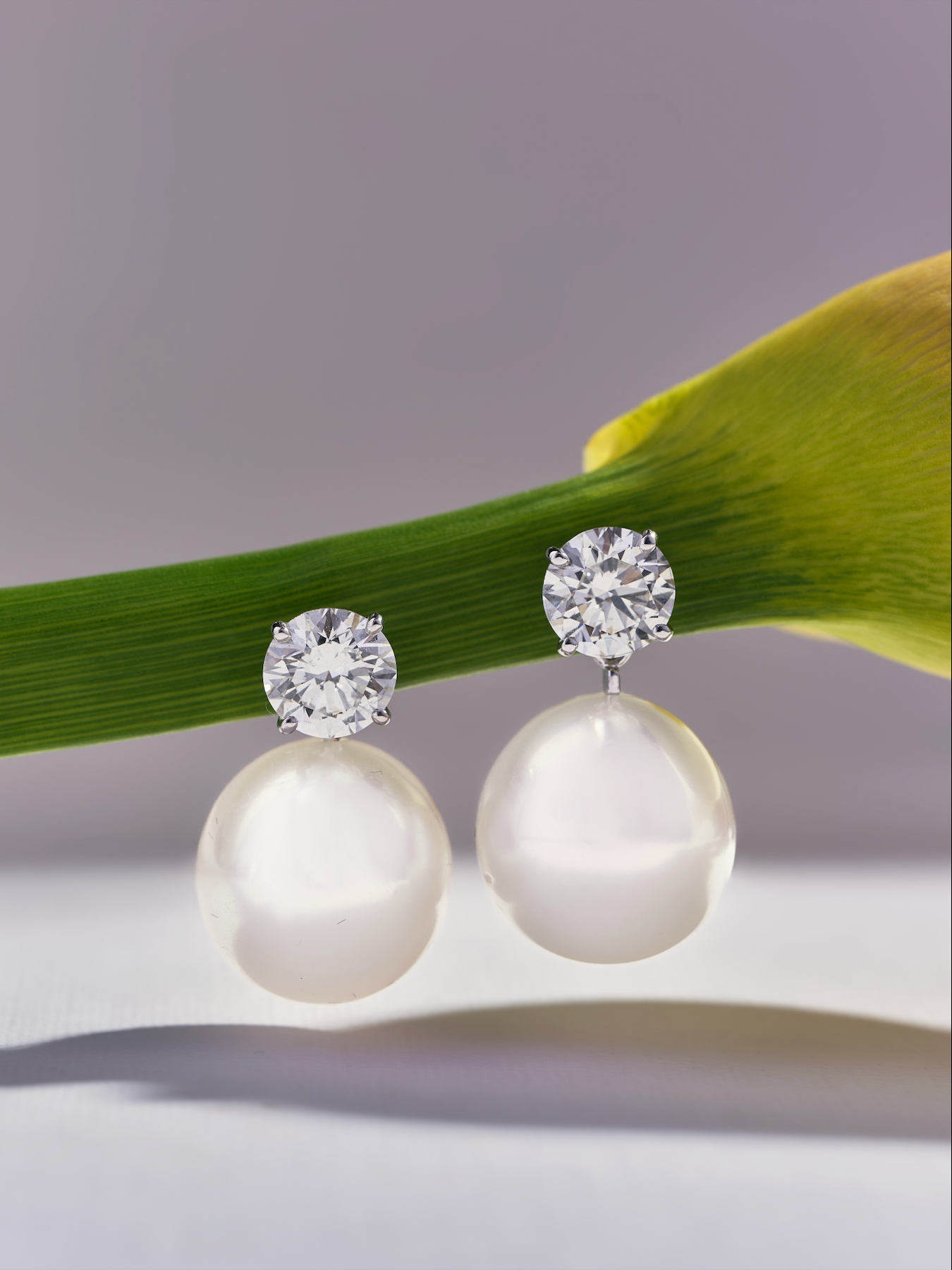 Pinkish White Drop South Sea Pearl Danglers