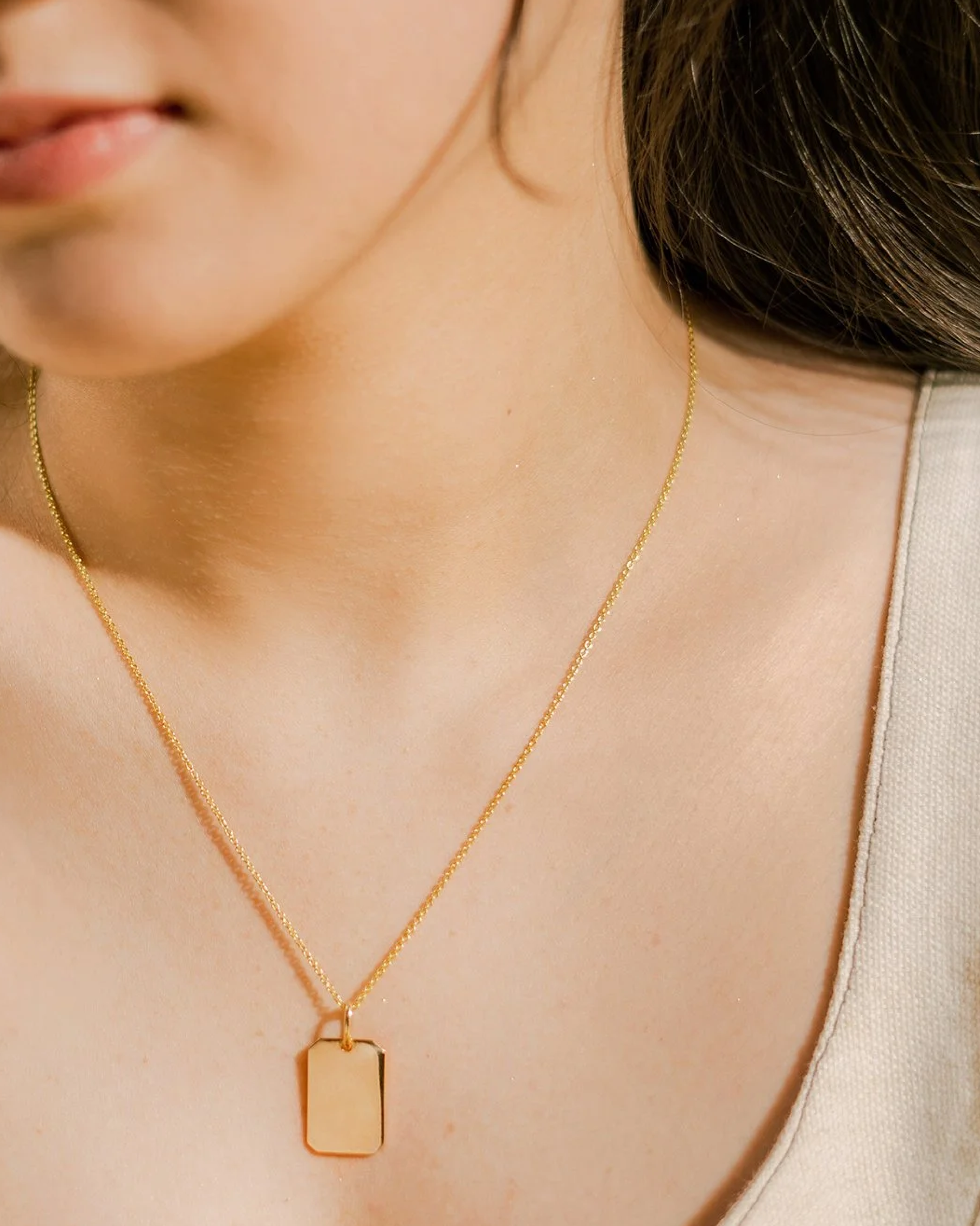 Plate Pendant