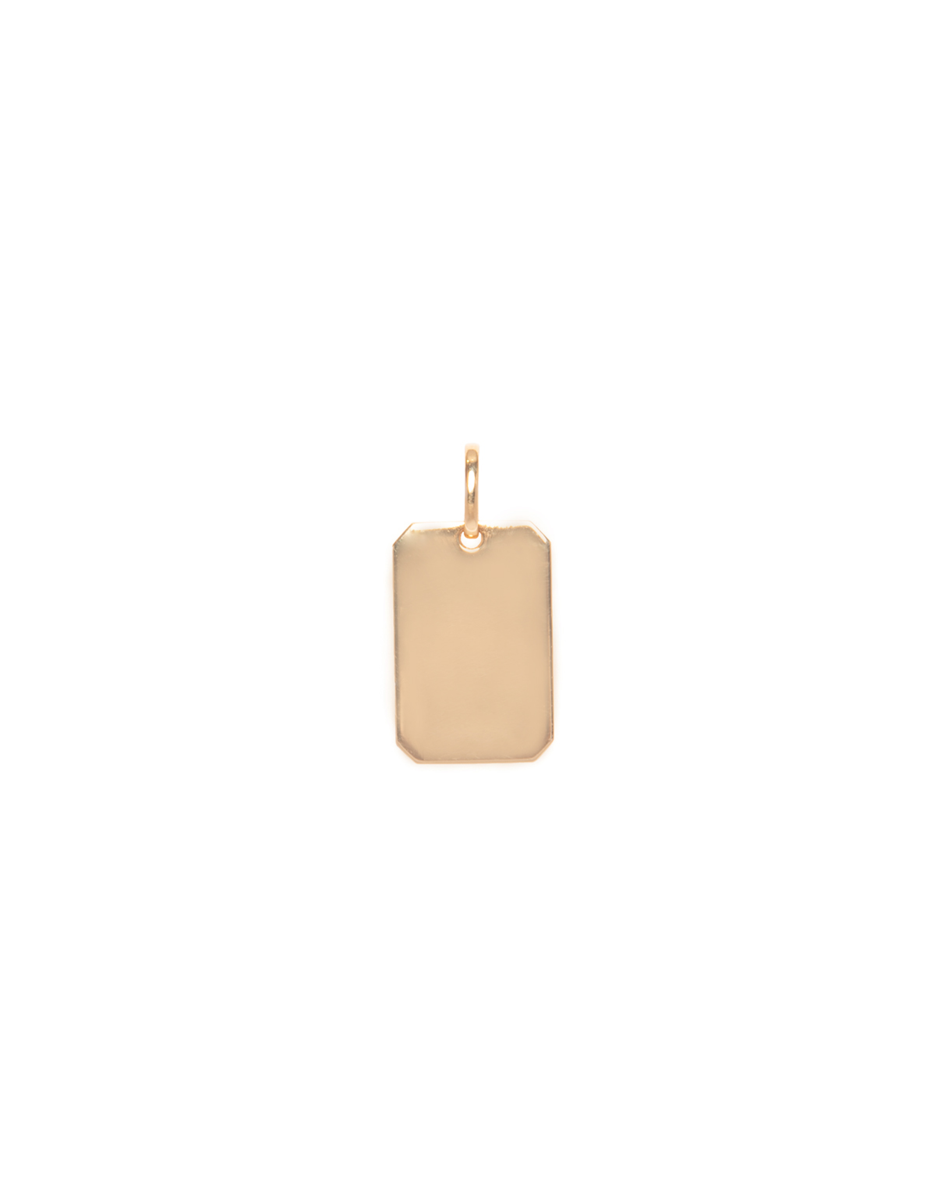 Plate Pendant